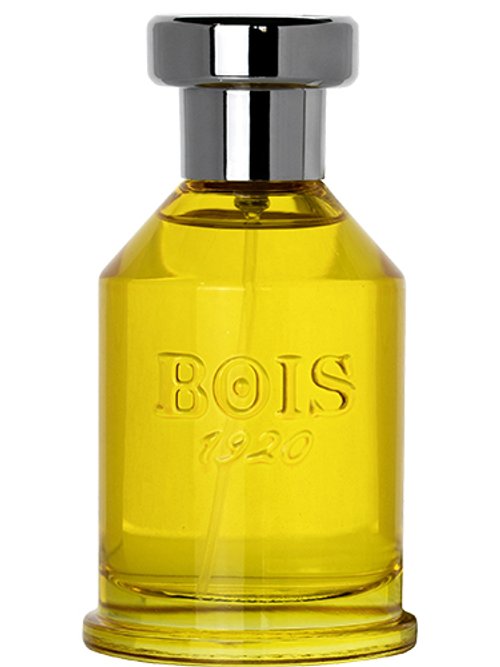 Aethereus by Bois 1920