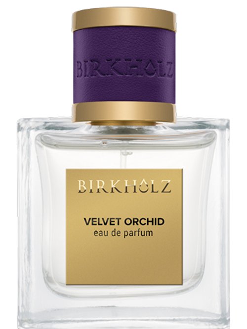Velvet Orchid by Birkholz