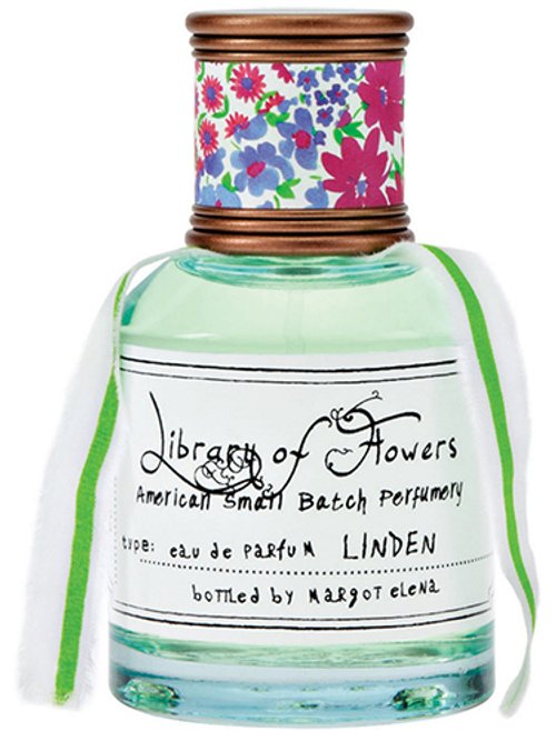 Linden by Library Of Flowers