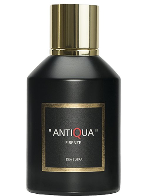 Dea Sutra by Antiqua Firenze
