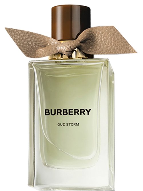 Oud Storm by Burberry