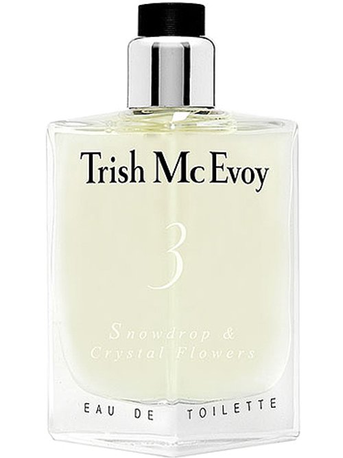 Snowdrop & Crystal Flowers Nº3 by Trish Mcevoy