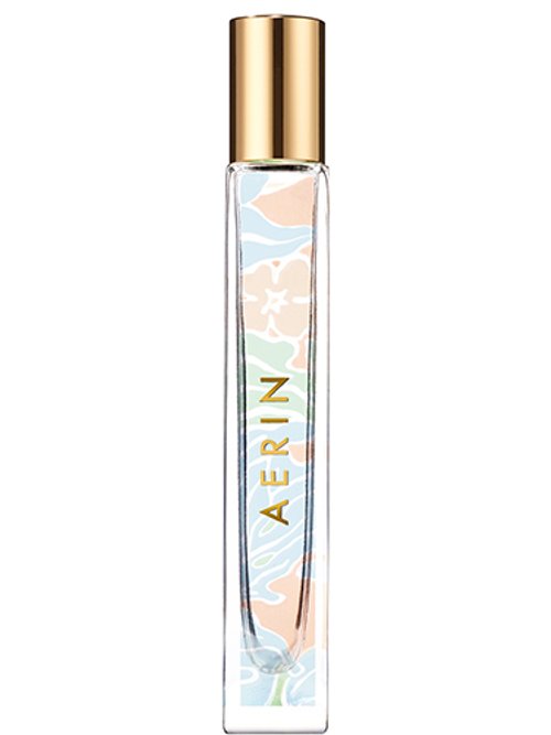 Coral Palm by Aerin