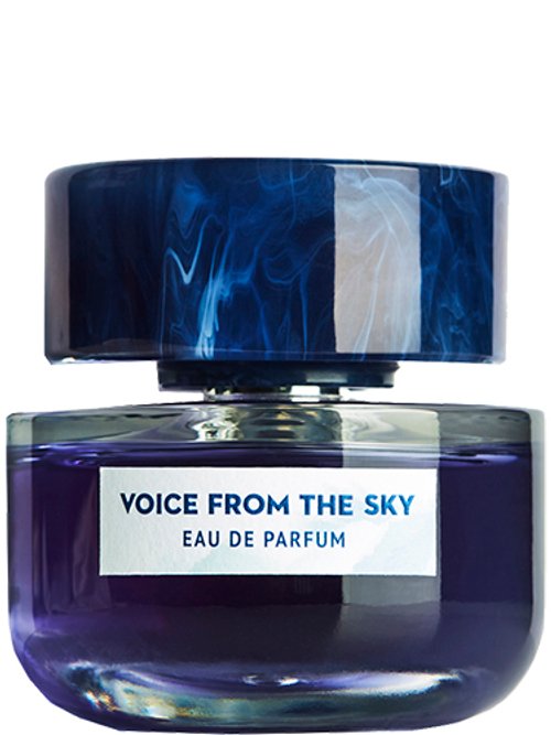 Voice From The Sky by Voice From The Sky