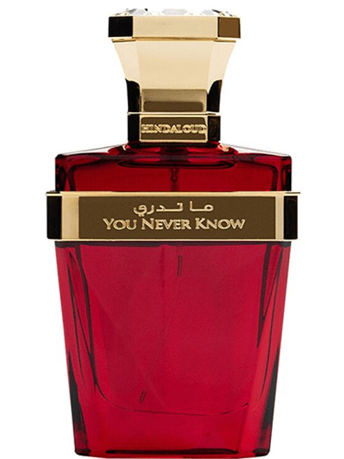 You Never Know by Hind Al Oud