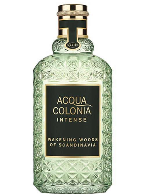 Wakening Woods Of Scandinavia Intense by 4711