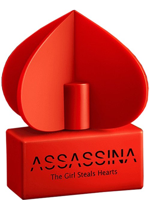 The Girl Steals Hearts by Assassina