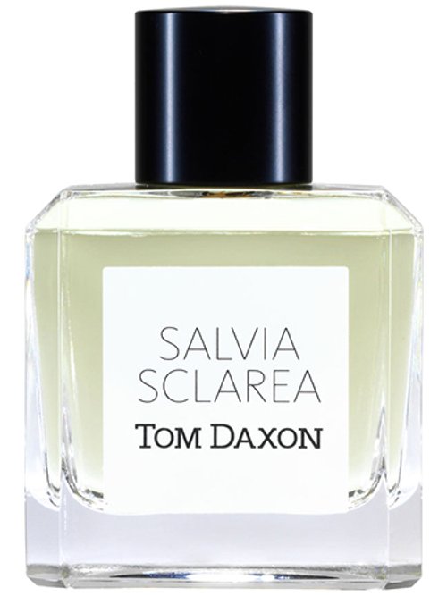Salvia Sclarea by Tom Daxon