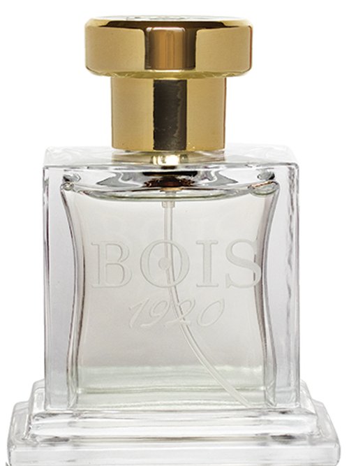 Elite Ii by Bois 1920