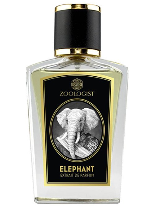 Elephant by Zoologist