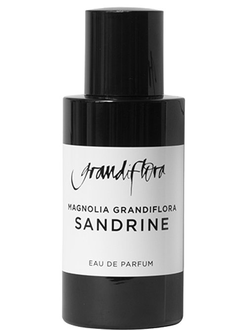 Sandrine Magnolia by Grandiflora