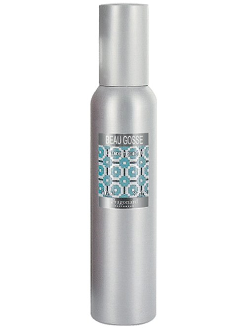 Beau Gosse by Fragonard