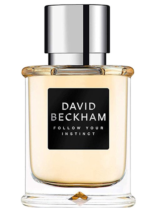 David Beckham Follow Your Instinct by David Beckham