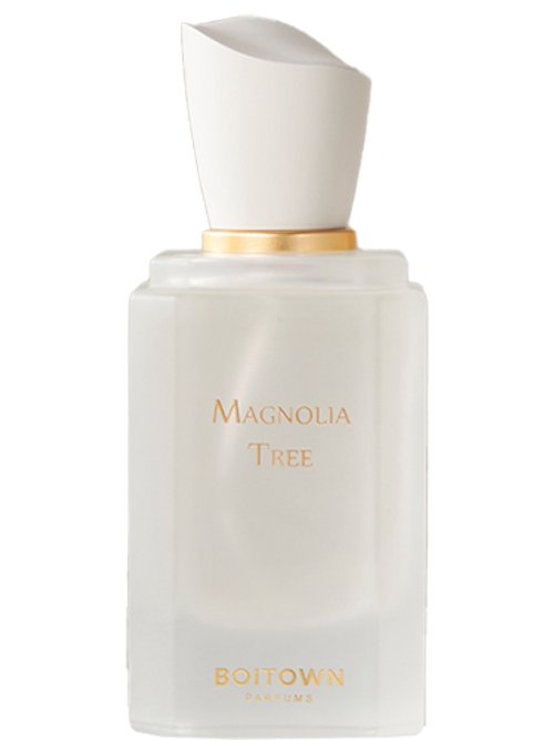 Magnolia Tree by Boitown