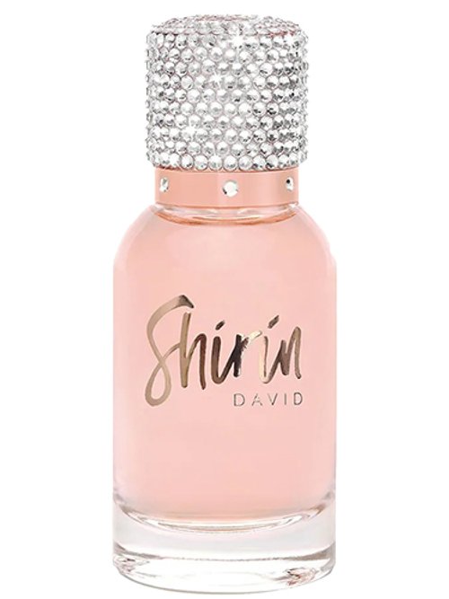 Created By The Community by Shirin David