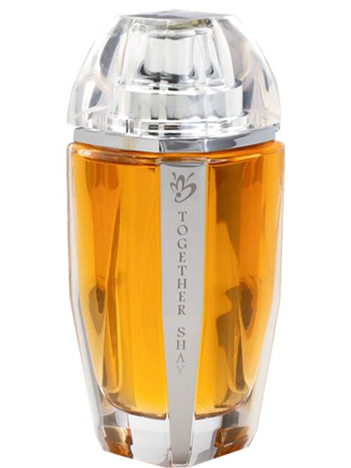 Together Shay by Anfasic Dokhoon