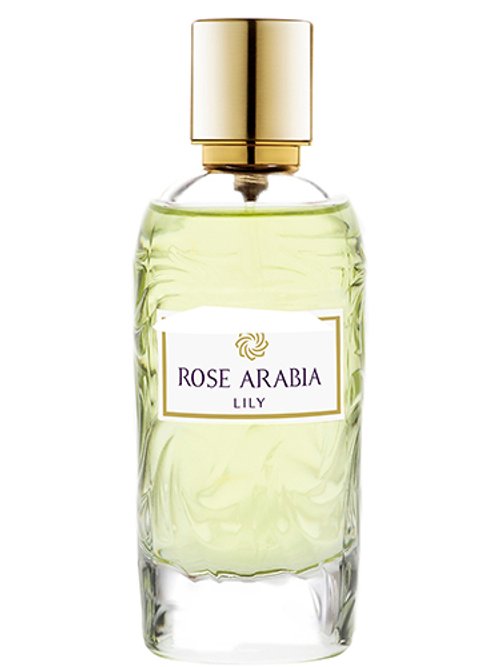 Lily by Rose Arabia