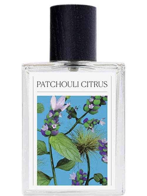 Patchouli Citrus by The 7 Virtues