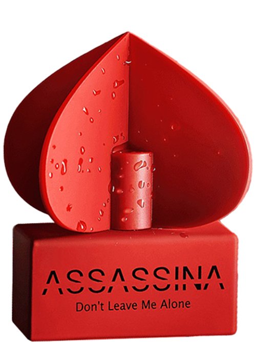 Don'T Leave Me Alone by Assassina