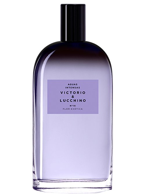 Nº 16 Flor Exotica by Victorio & Lucchino