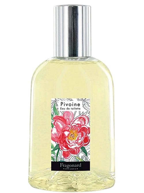 Pivoine by Fragonard