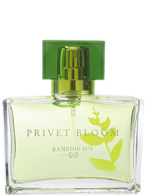 Pure Nautica Discovery by Nautica