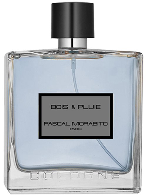 Bois & Pluie by Pascal Morabito