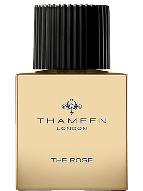 The Rose by Thameen