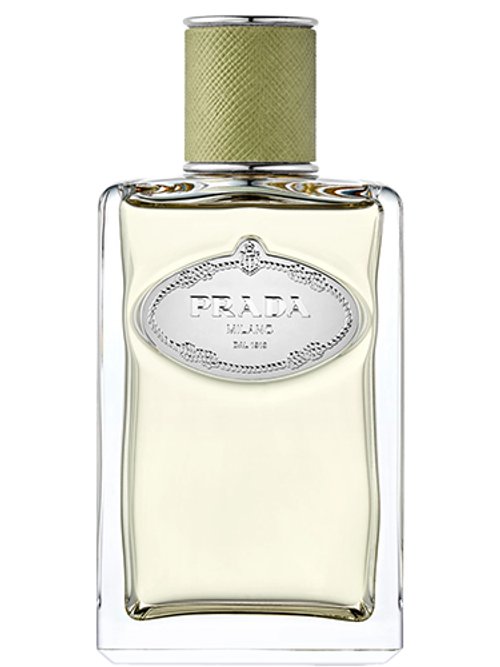 Infusion De Gingembre by Prada
