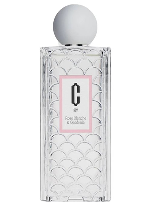 Rose Blanche & Gardénia by Carlotha Ray