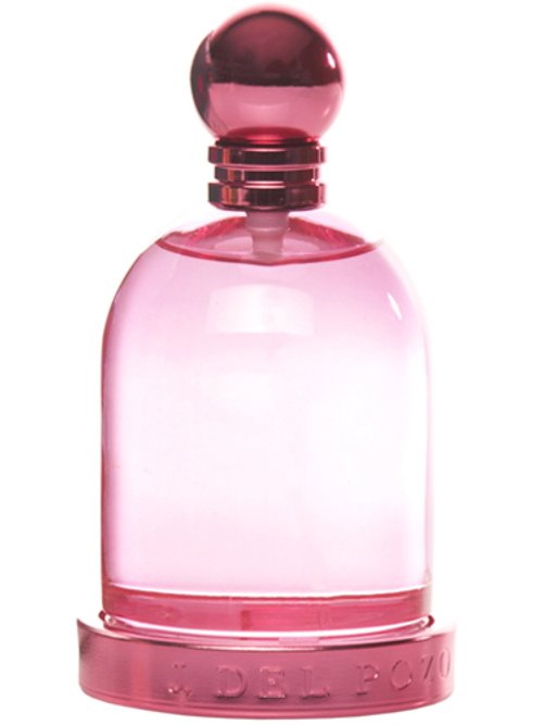 Halloween Water Lily by Halloween