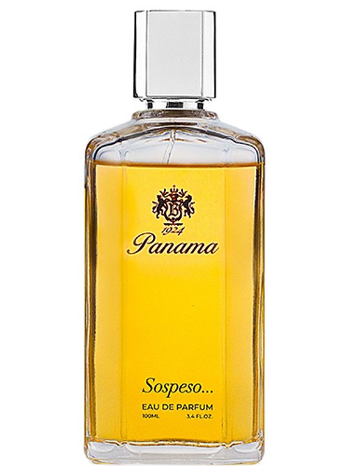 Panama Sospeso by Panama 1924