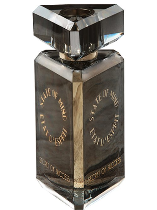 Secret Of Success by State Of Mind