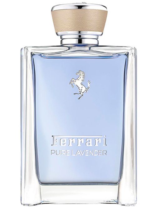 Ferrari Pure Lavender Essence by Ferrari