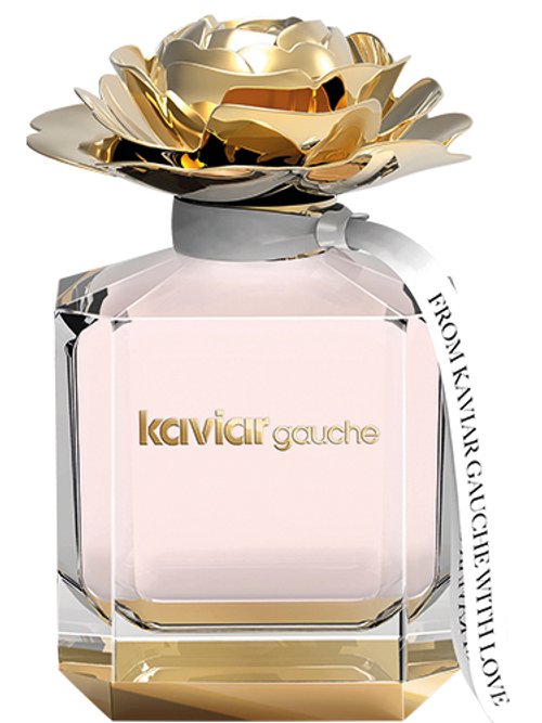 Kaviar Gauche by Kaviar Gauche