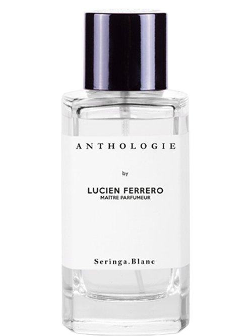 Seringa Blanc by Lucien Ferrero