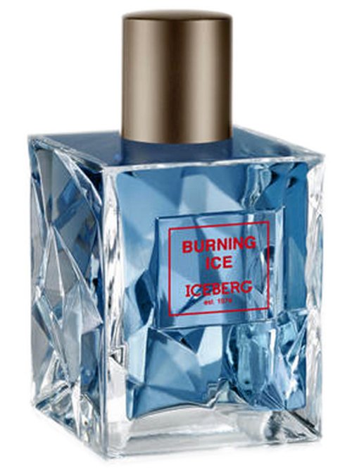 Iceberg Burning Ice by Iceberg