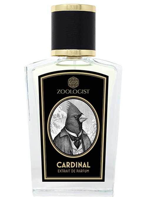 Cardinal by Zoologist
