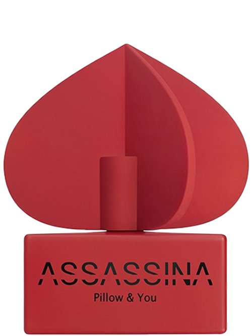 Pillow & You by Assassina