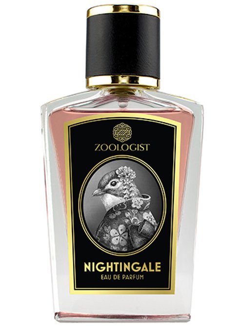 Nightingale by Zoologist