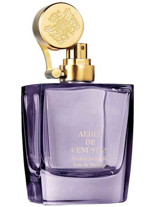 Oeillet Bengale by Aedes De Venustas