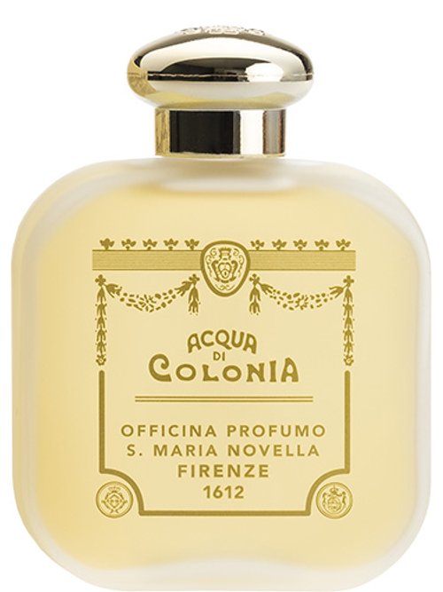 Mughetto by Santa Maria Novella