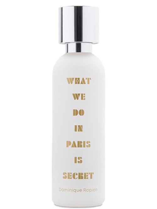 What We Do In Paris Is Secret by A Lab On Fire
