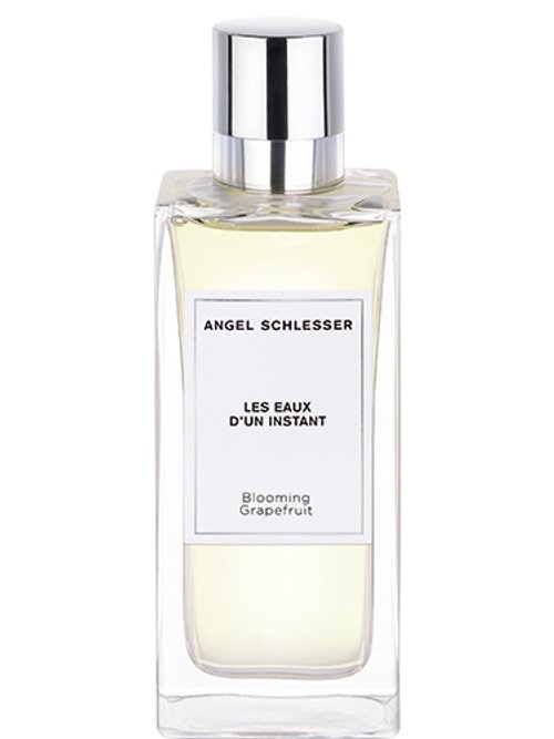 Blooming Grapefruit by Angel Schlesser