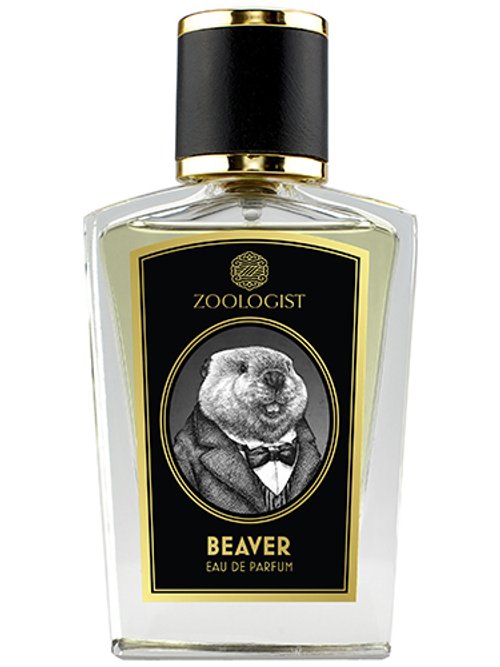 Beaver by Zoologist