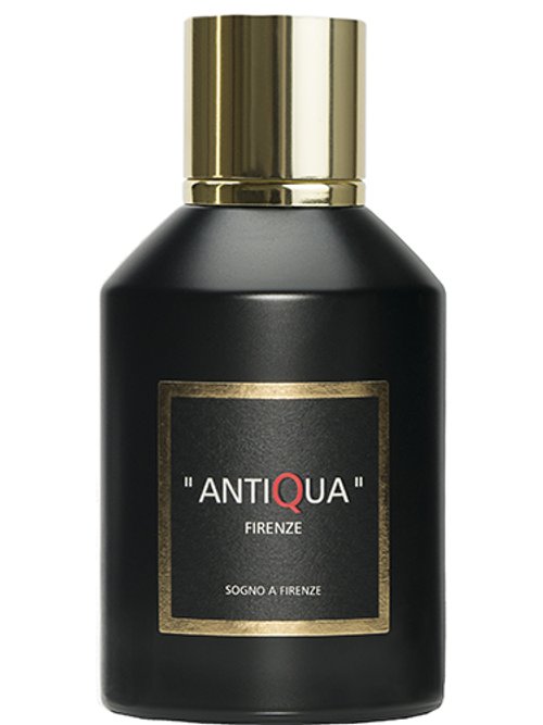 Sogno A Firenze by Antiqua Firenze