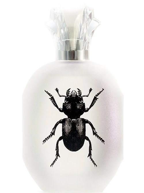 Alessandro Manfredini by Captain Fawcett