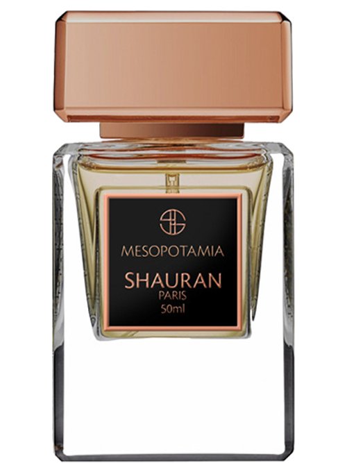 Mesopotamia by Shauran