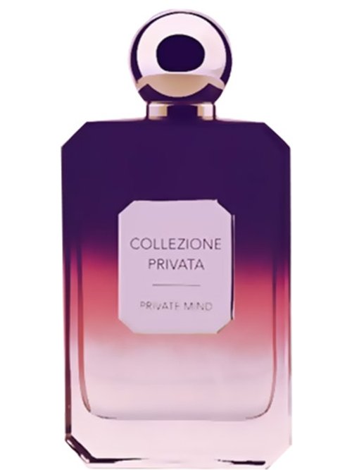 Private Mind by Valmont