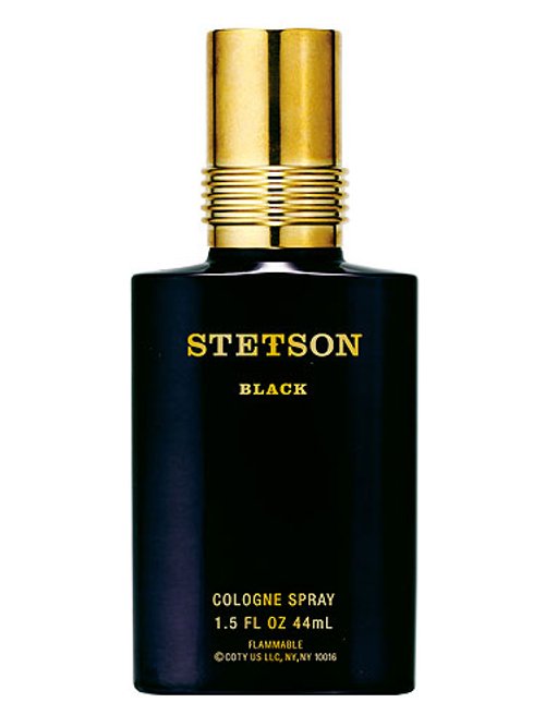 Stetson Black by Stetson